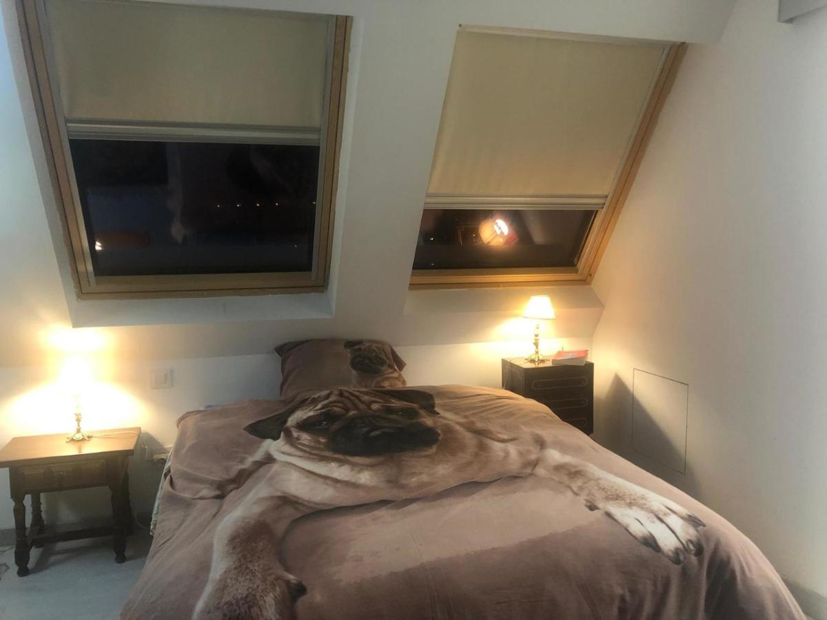 Guadarrama, Atico Nuevo Con Espectaculares Vistas Apartment Bagian luar foto